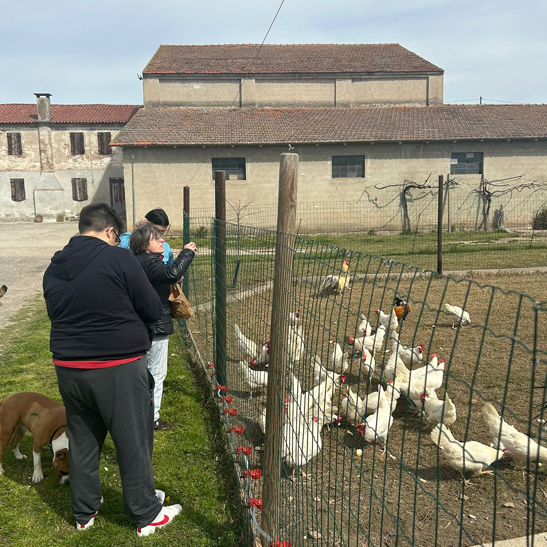 lafattoriavolante_galleria_autonomia-3